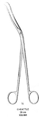 Cheattle Sterilizing Forcep